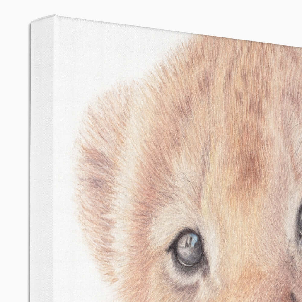 Close up lion cub canvas print