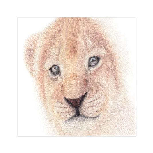 Lion cub fine art print