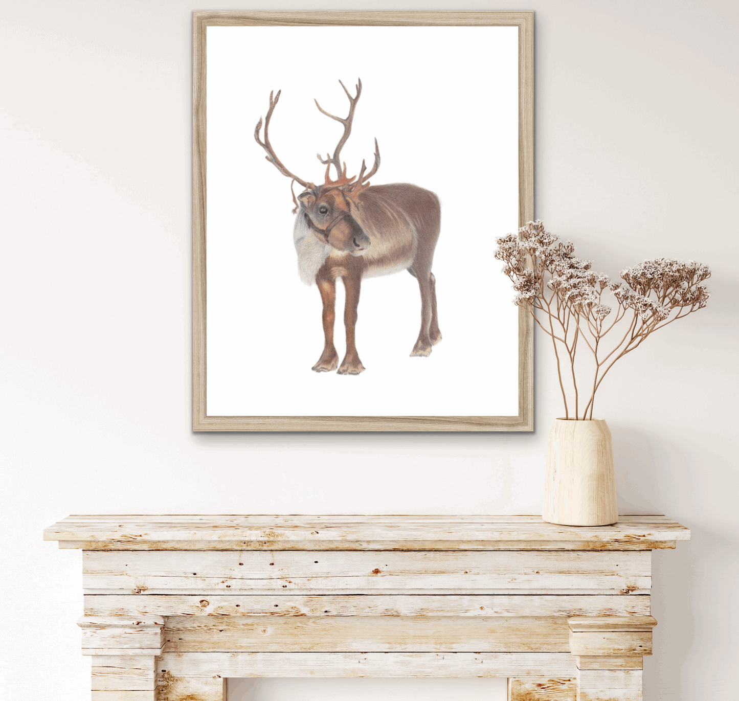 Reindeer Fine Art Print