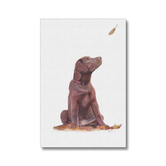 Brown Labrador Puppy Eco Canvas