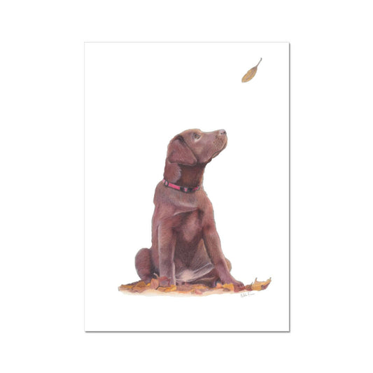 Brown Labrador Puppy Fine Art Print