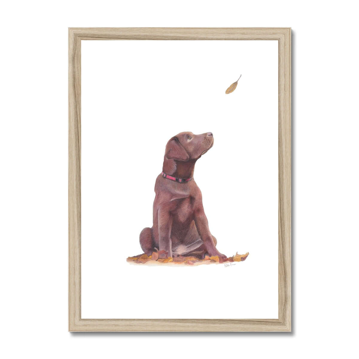 Brown Labrador Puppy Fine Art Print