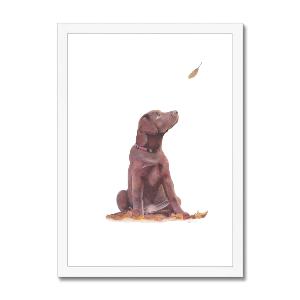 Brown Labrador Puppy Fine Art Print