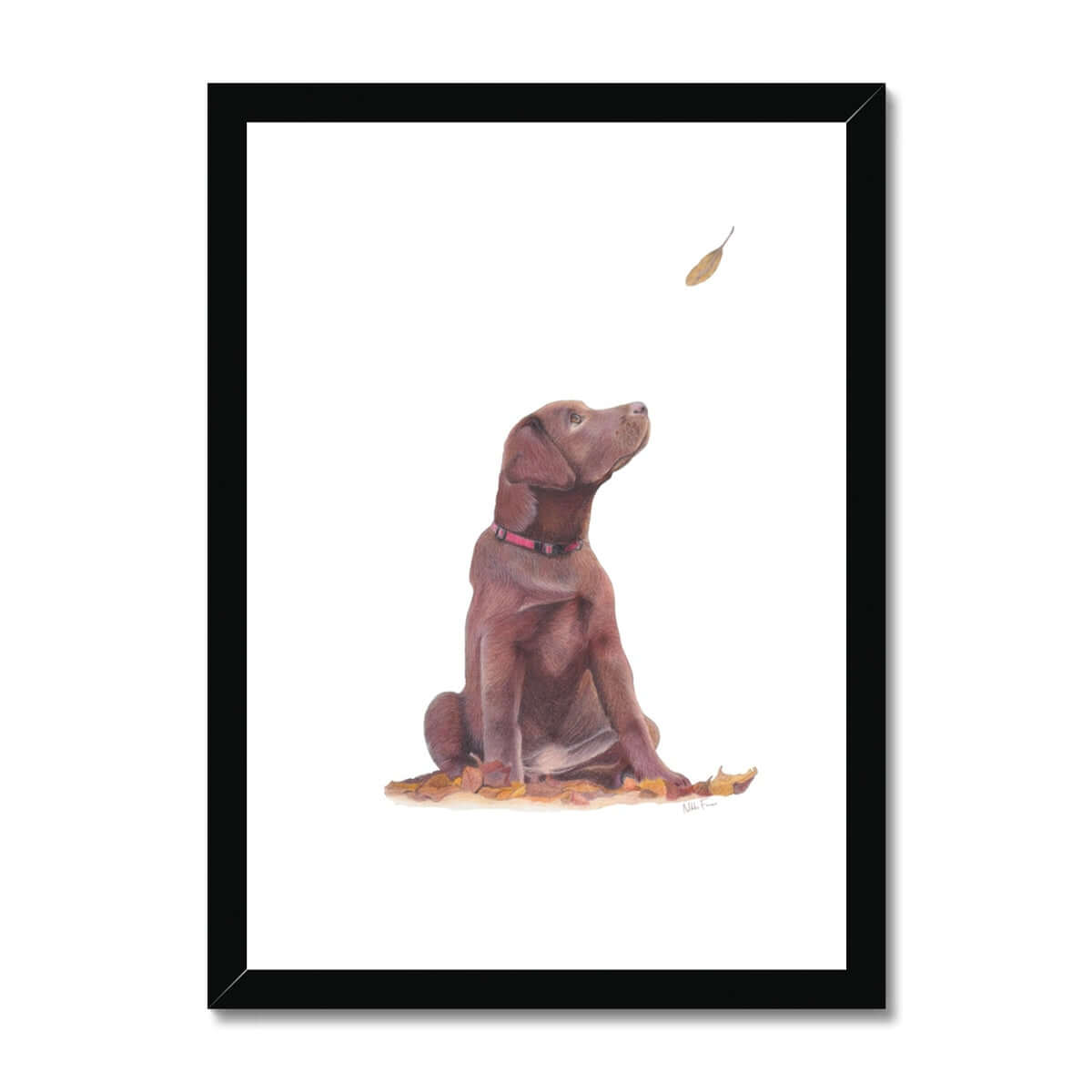 Brown Labrador Puppy Fine Art Print