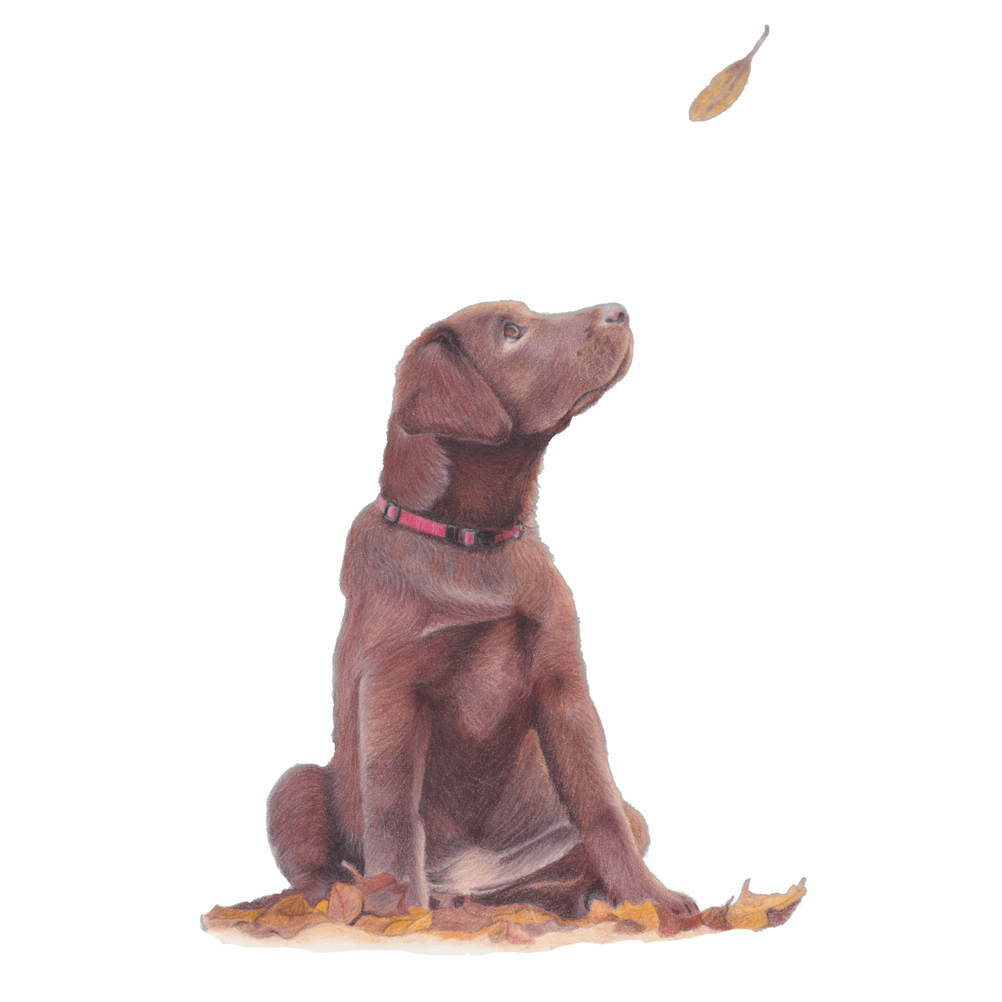 Original Brown Labrador Puppy Art