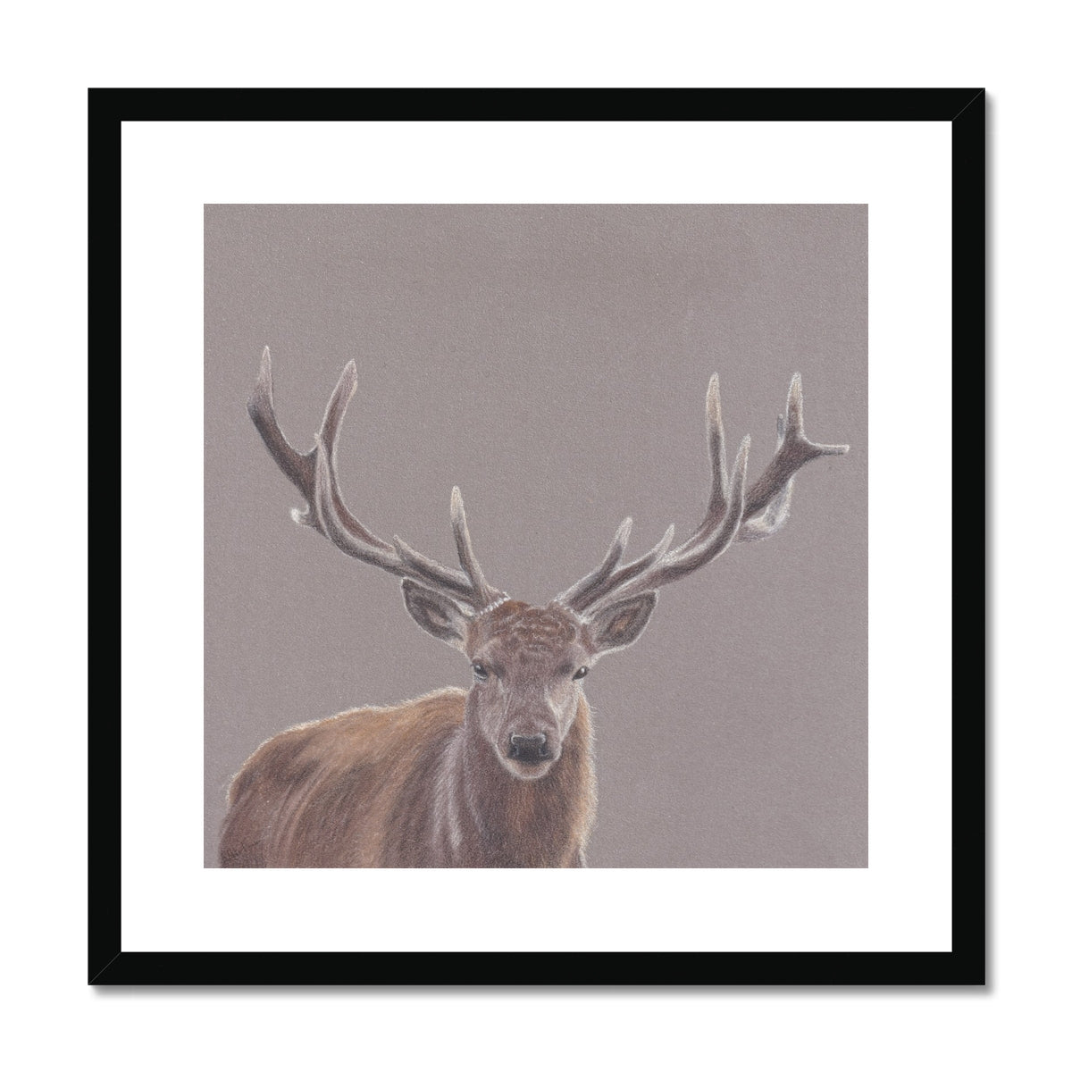 Stag Fine Art Print