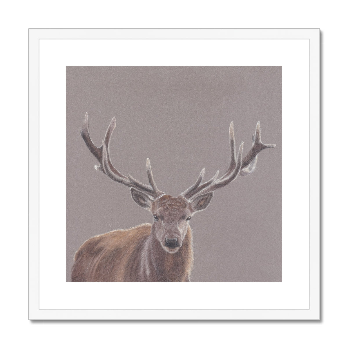 Stag Fine Art Print