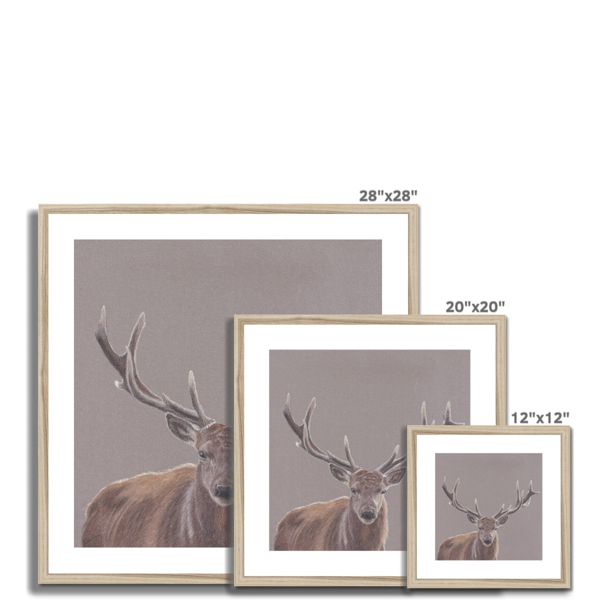 Stag Fine Art Print Sizes