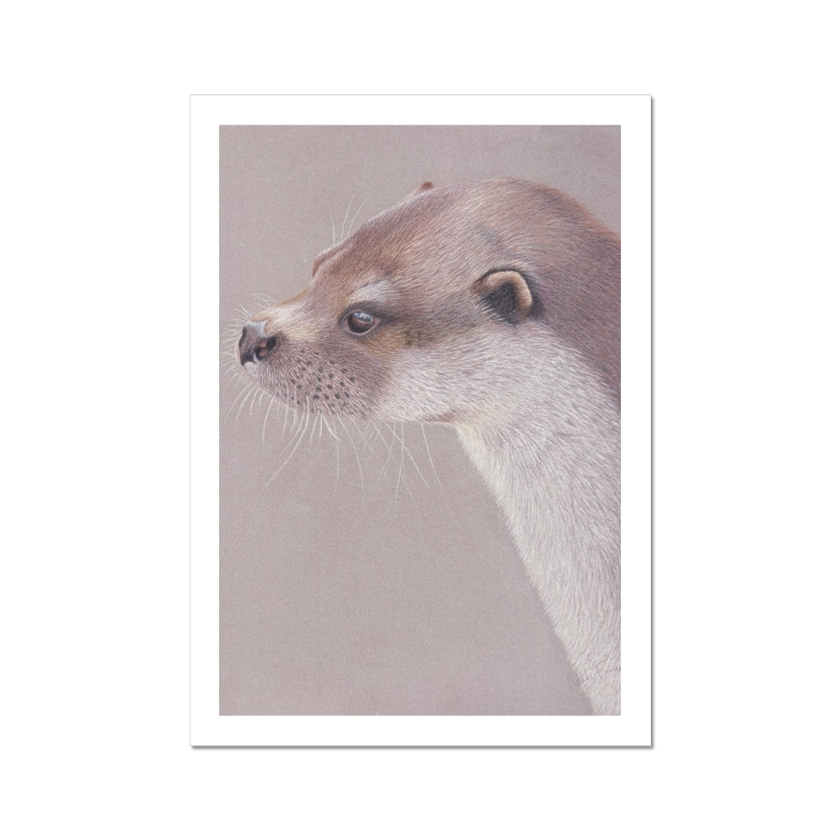 Playful Otter Fine Art Print