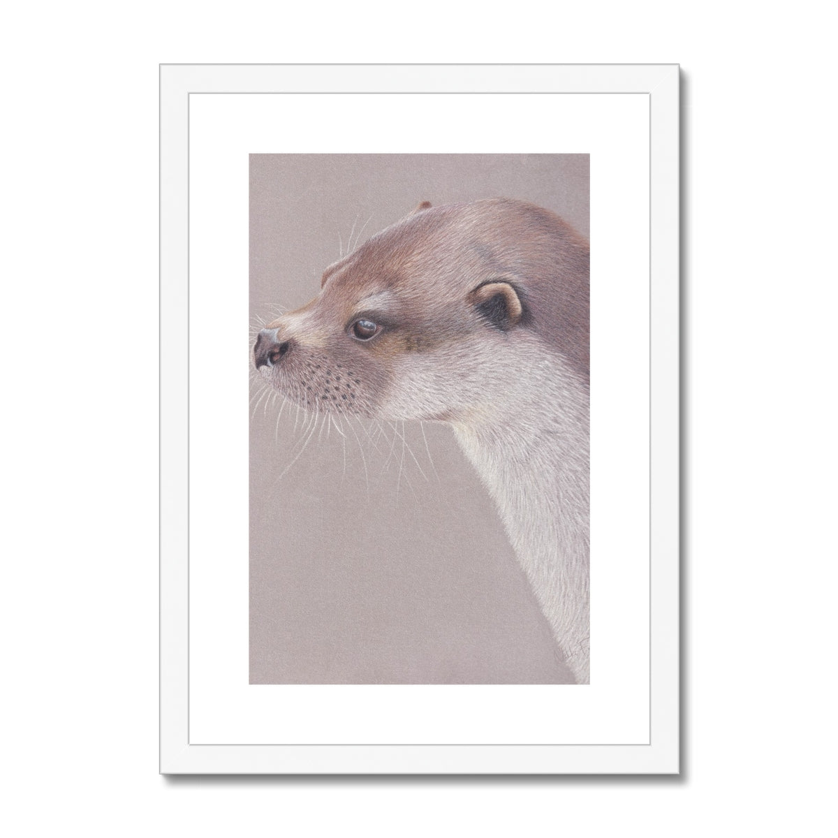 Playful Otter Fine Art Print