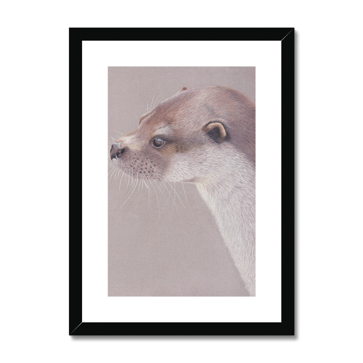 Playful Otter Fine Art Print