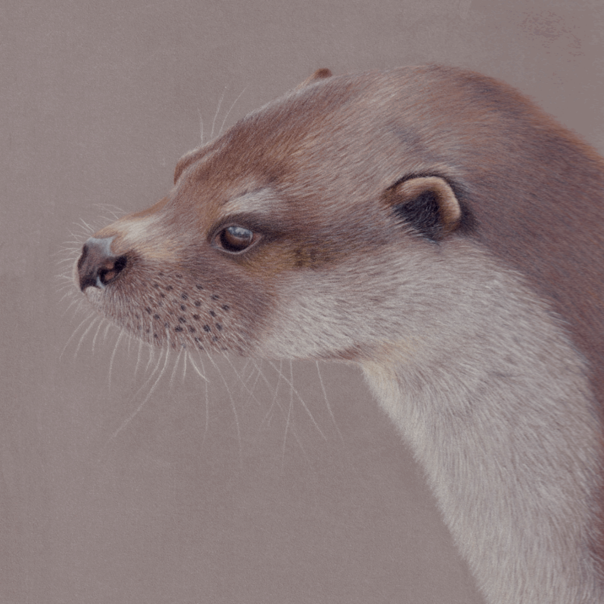 Playful Otter Original Art