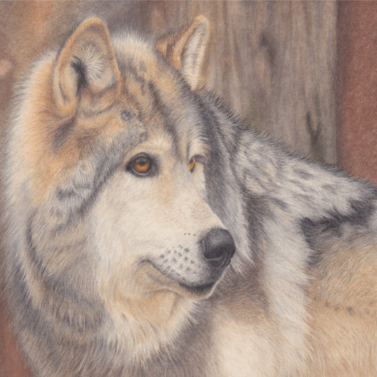 Stunning Wolf Original Art