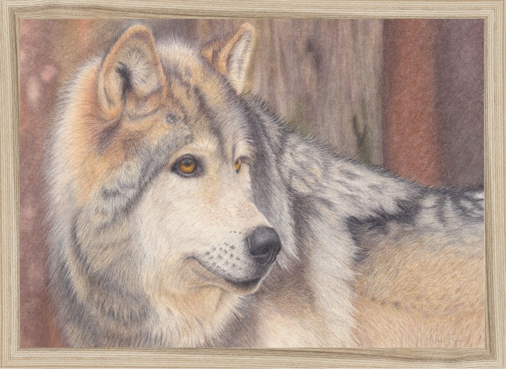 Stunning Wolf Original Art