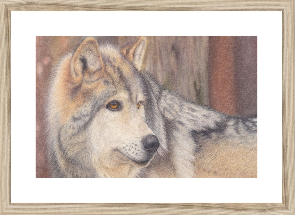 Stunning Wolf Original Art