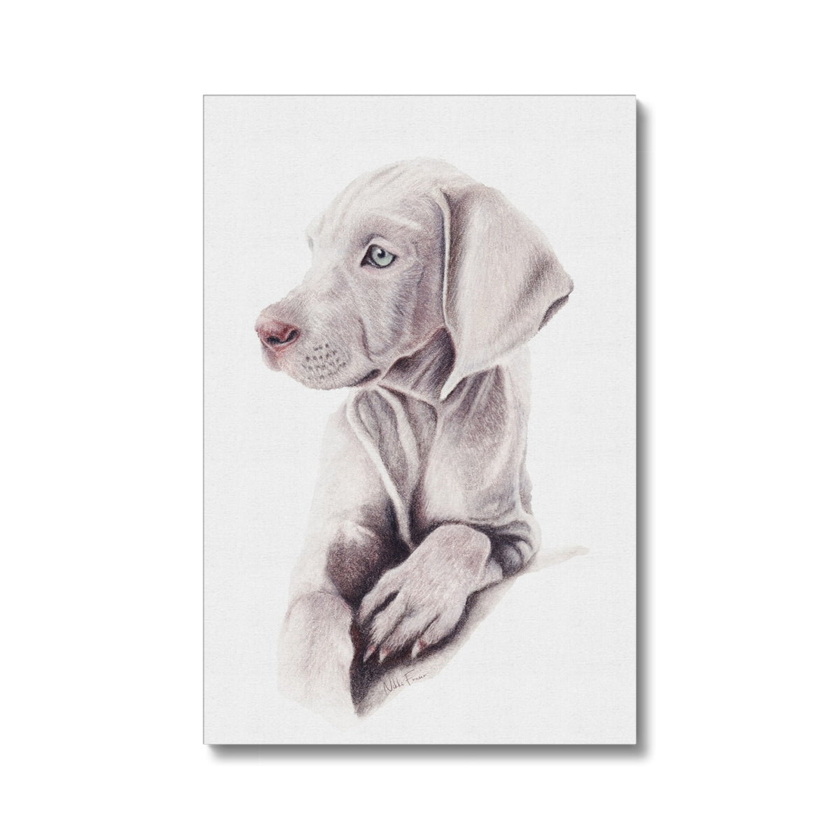 Weimaraner Puppy Eco Canvas Print