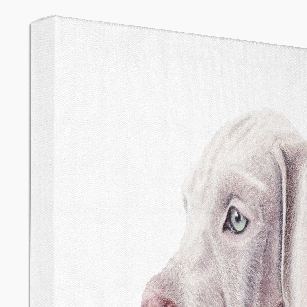 Weimaraner Puppy Eco Canvas Print