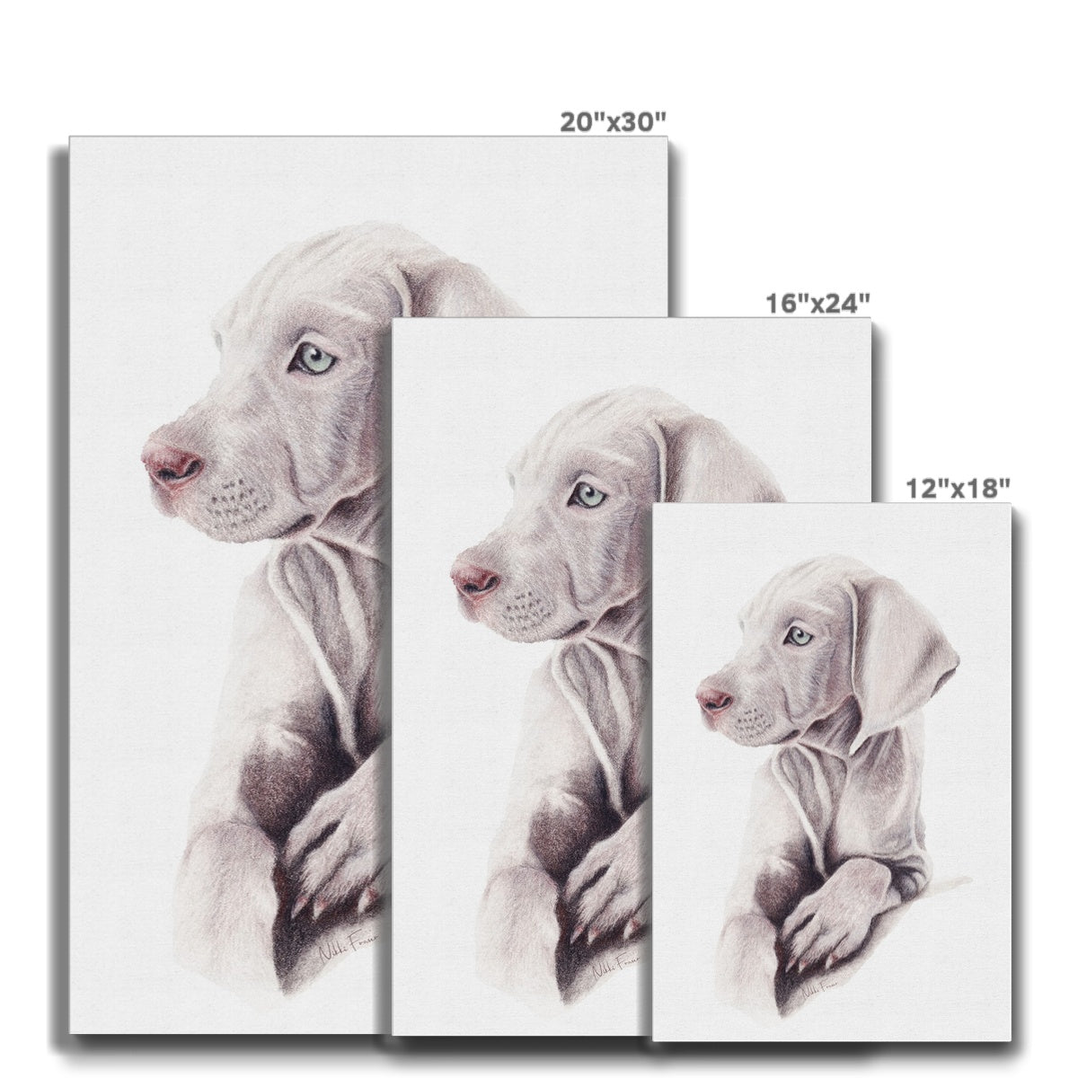 Weimaraner Puppy Eco Canvas Print Sizes