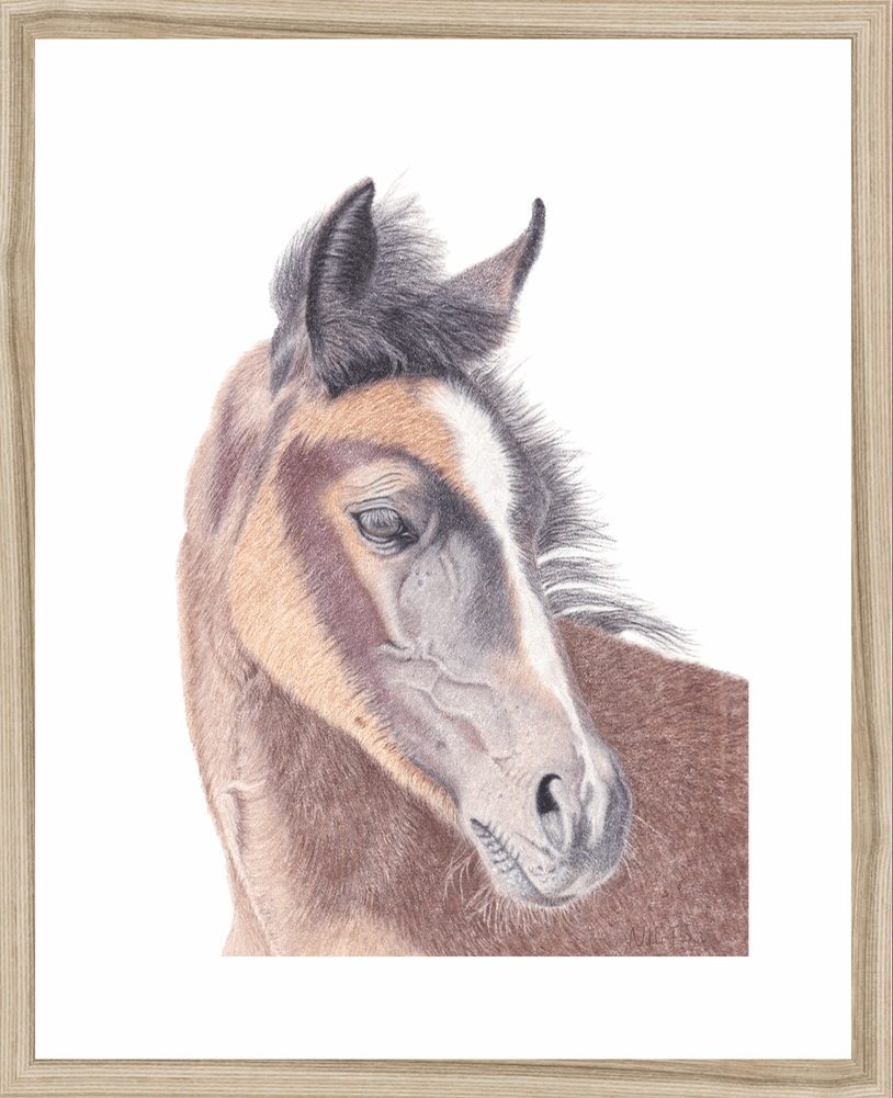 Young Foal Original Art