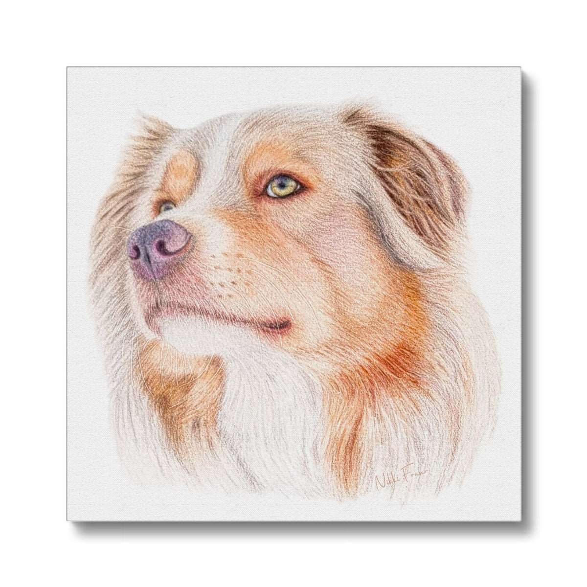 Australian Shepherd Eco Canvas