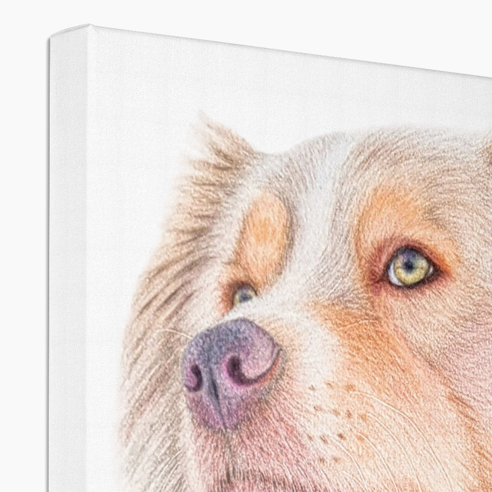 Australian Shepherd Eco Canvas