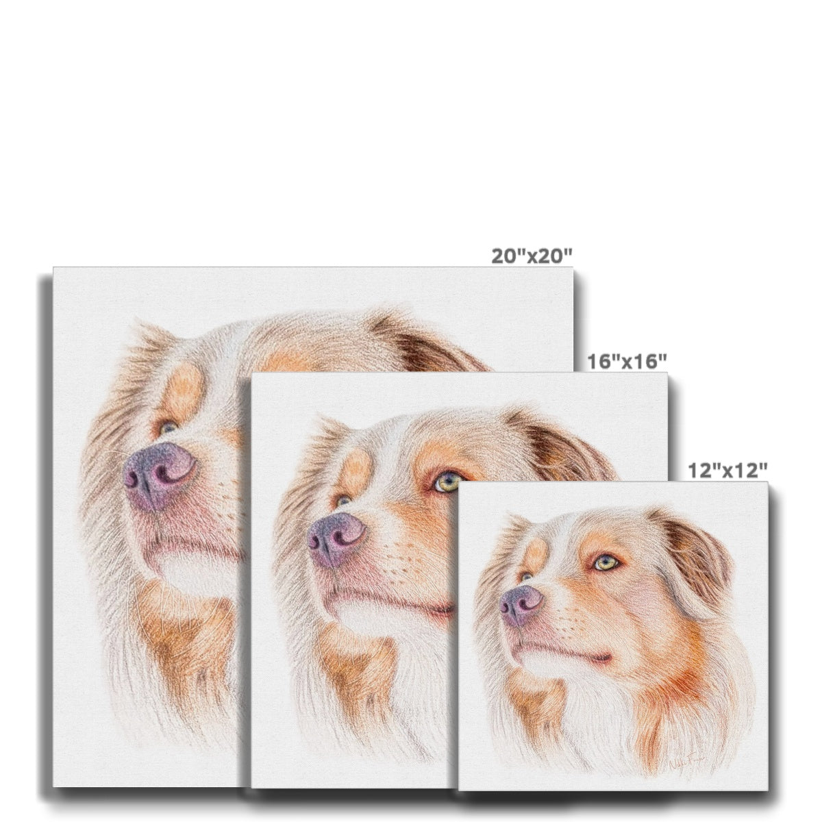 Australian Shepherd Eco Canvas Sizes