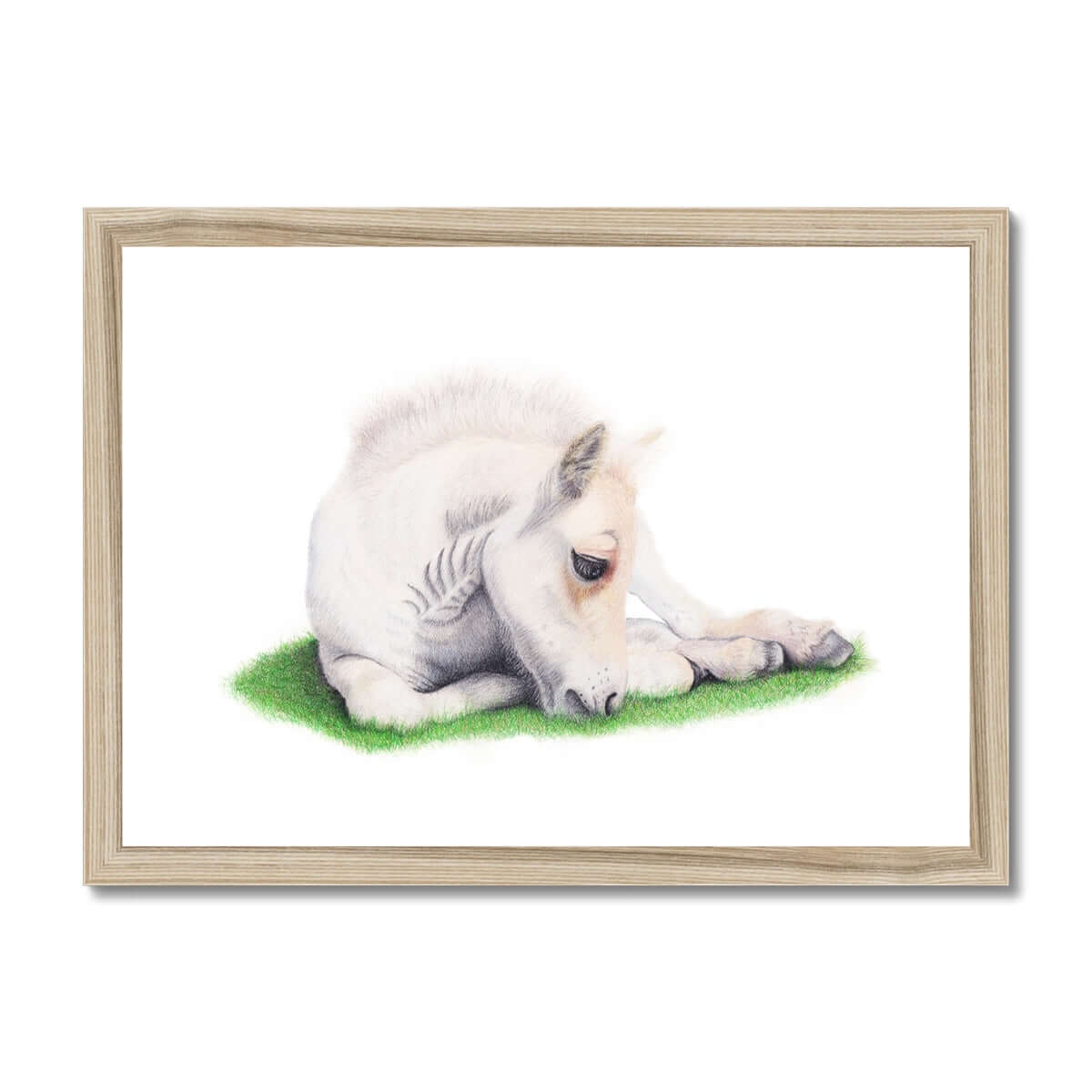 Whisper - Fjord Foal Fine Art Print