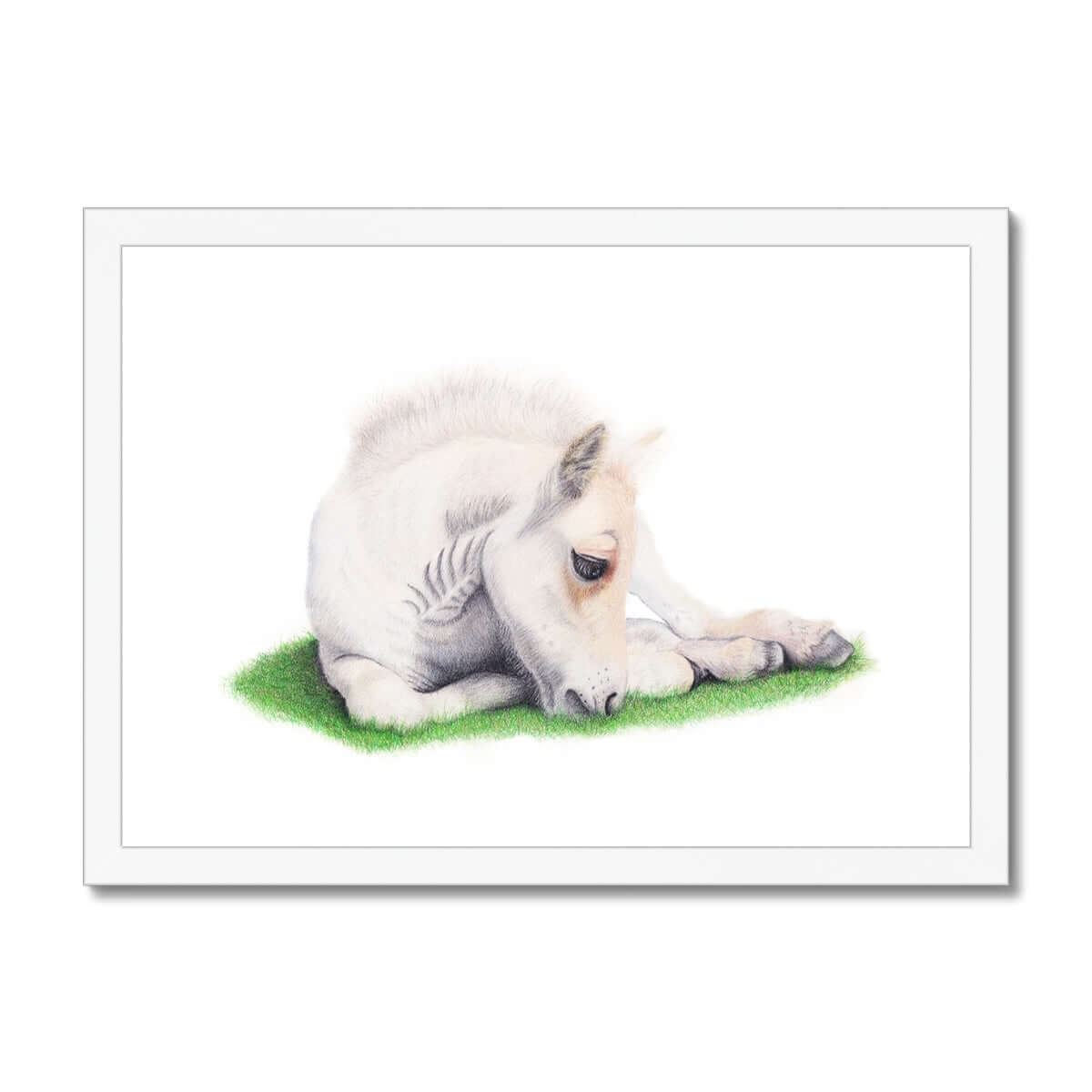 Whisper - Fjord Foal Fine Art Print