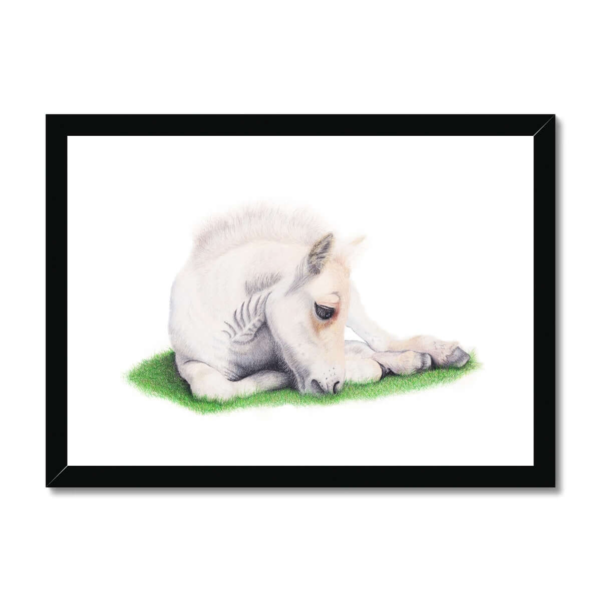 Whisper - Fjord Foal Fine Art Print