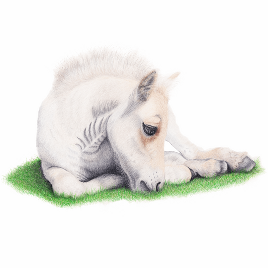 Fjord Foal Original Art