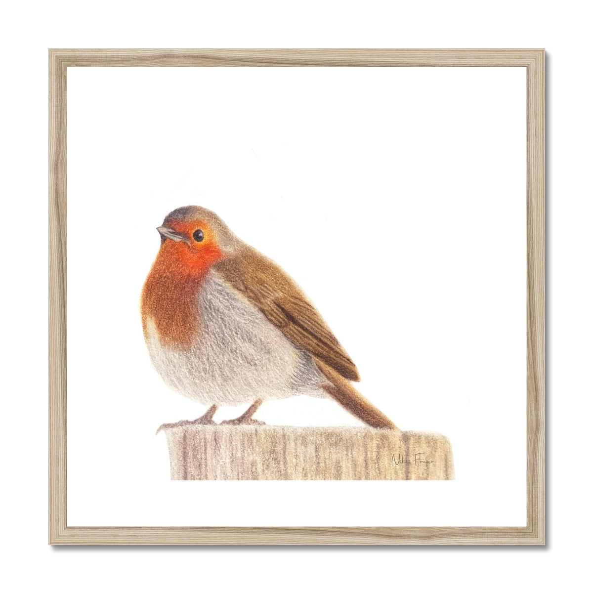 Robin Fine Art Print