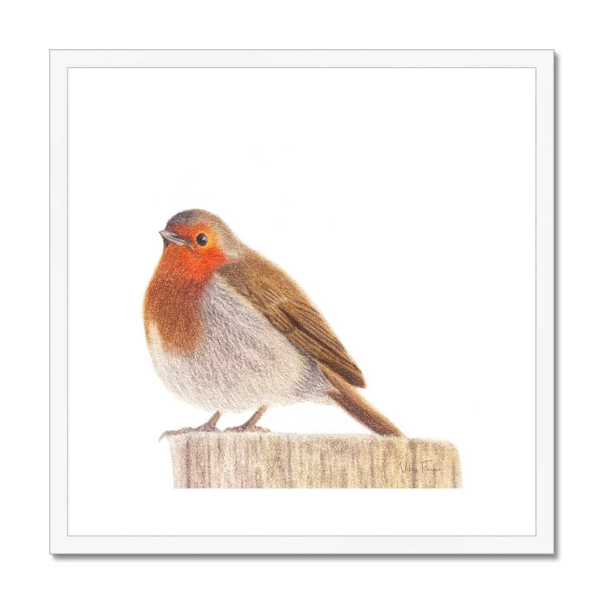 Robin Fine Art Print