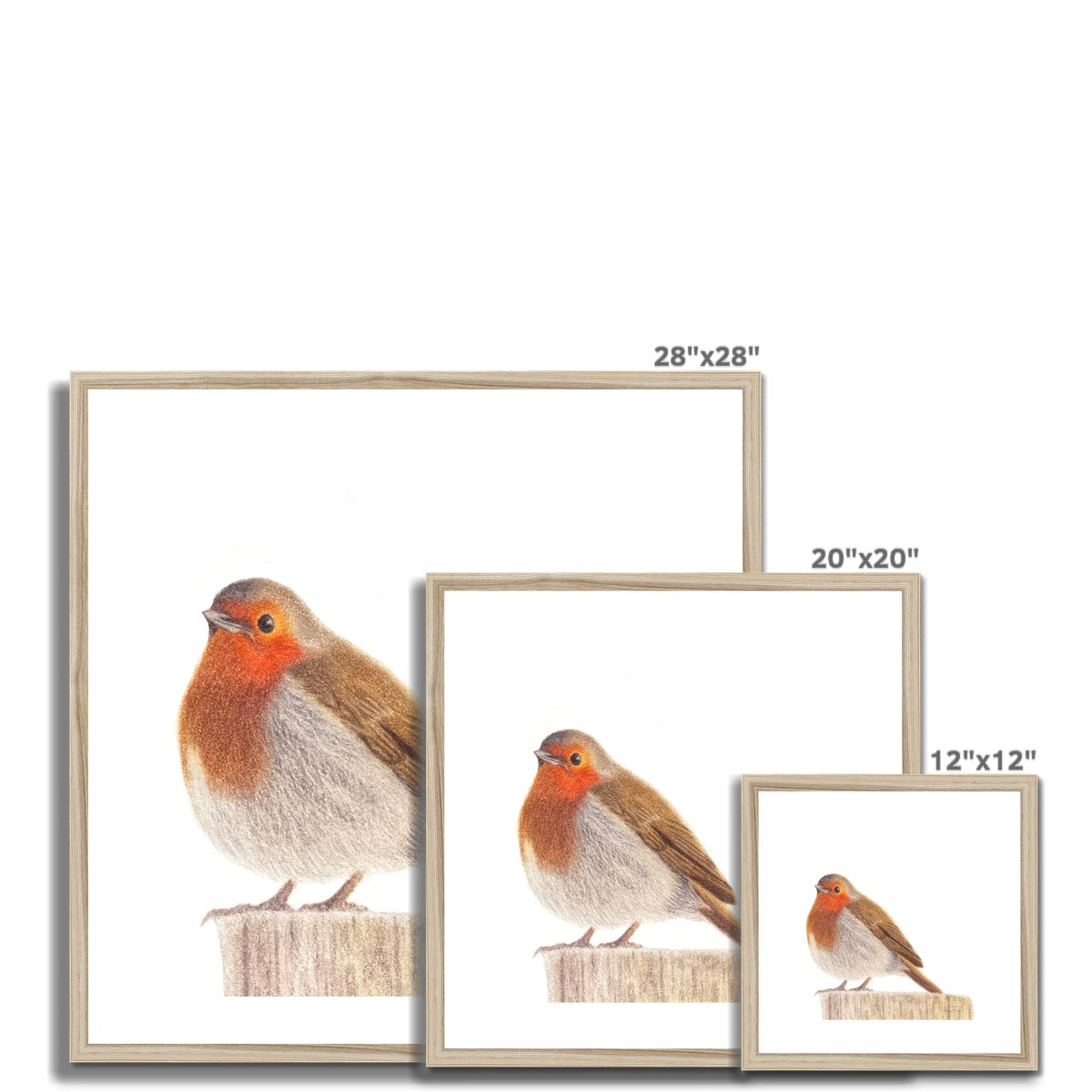 Robin Fine Art Print Sizes