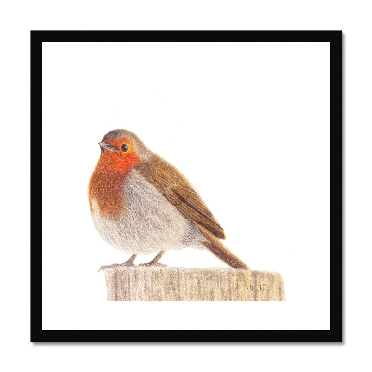 Robin Fine Art Print