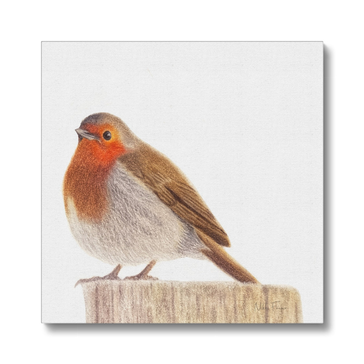 Vibrant Robin Eco Canvas