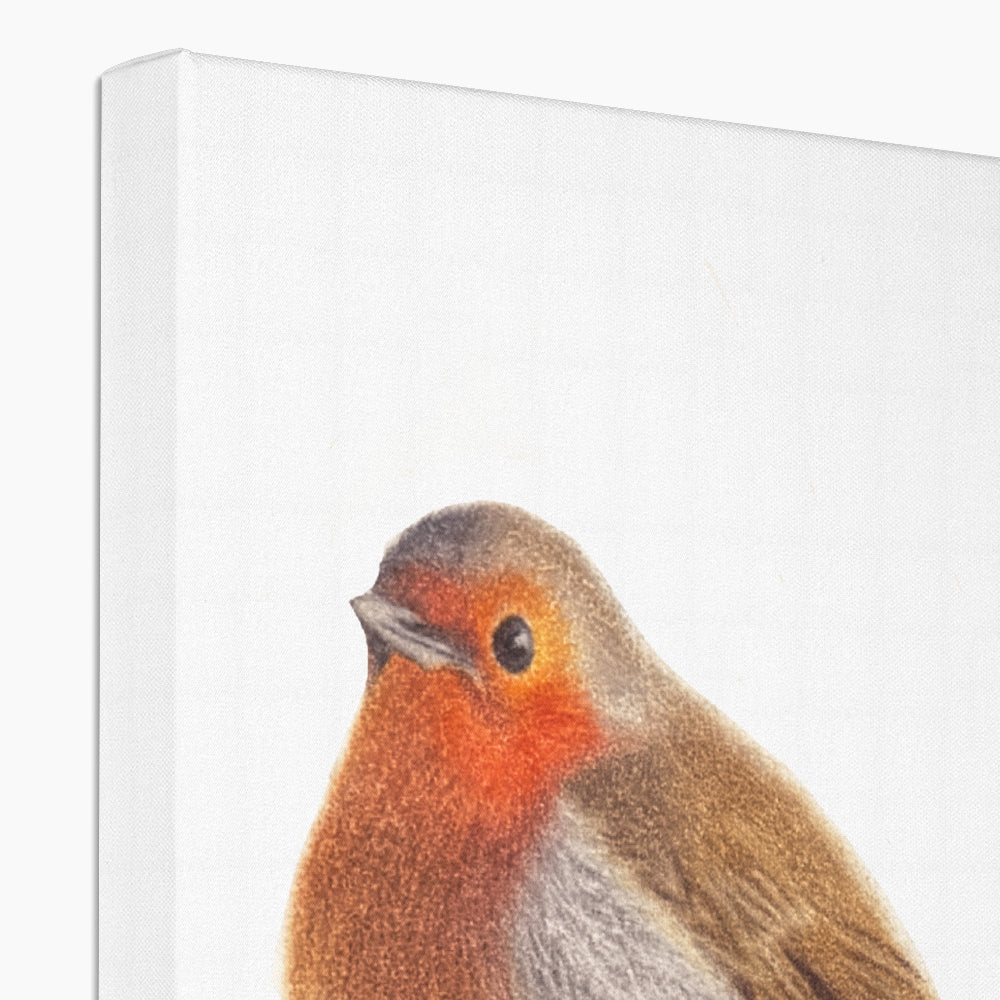 Vibrant Robin Eco Canvas