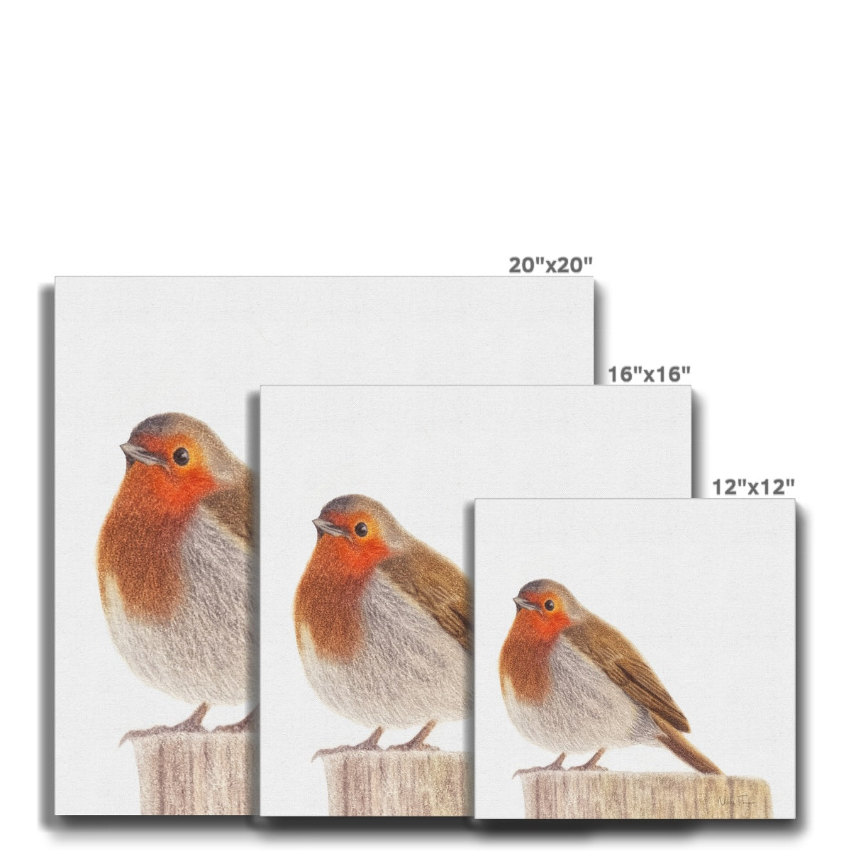 Vibrant Robin Eco Canvas Sizes