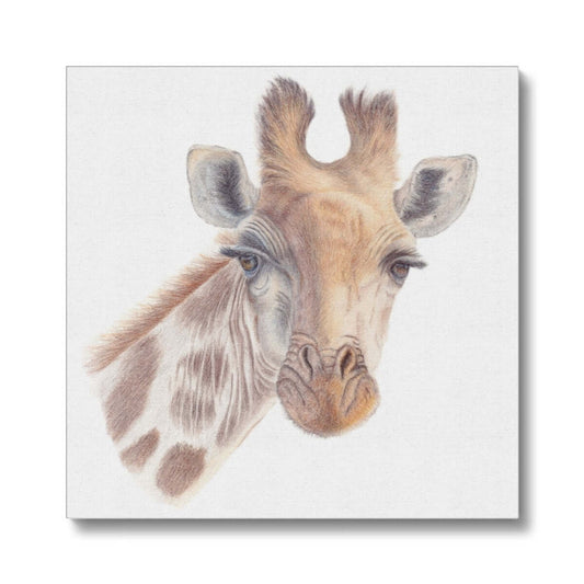 What! - Giraffe Eco Canvas - Nikki Fraser Art