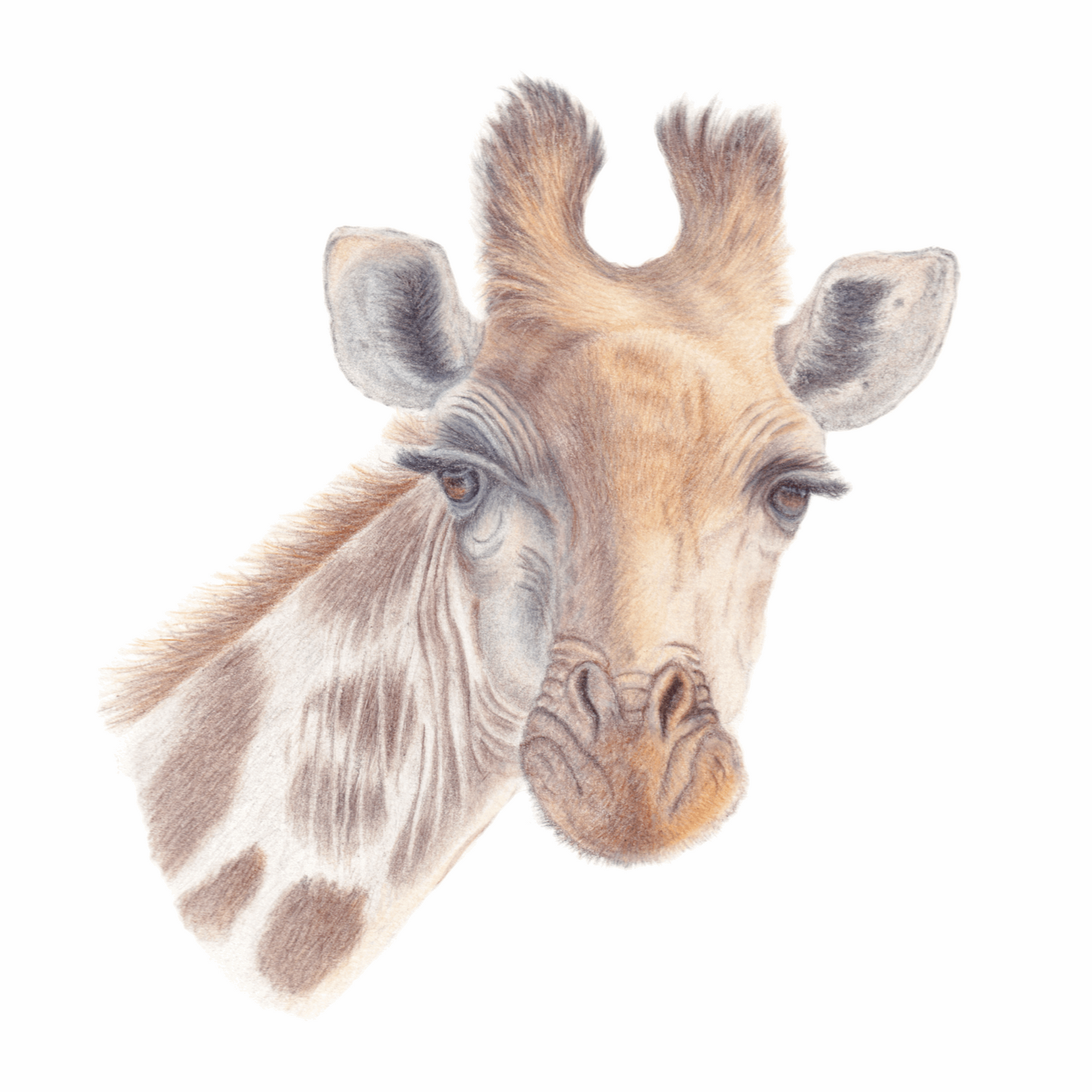 Giraffe Original Art