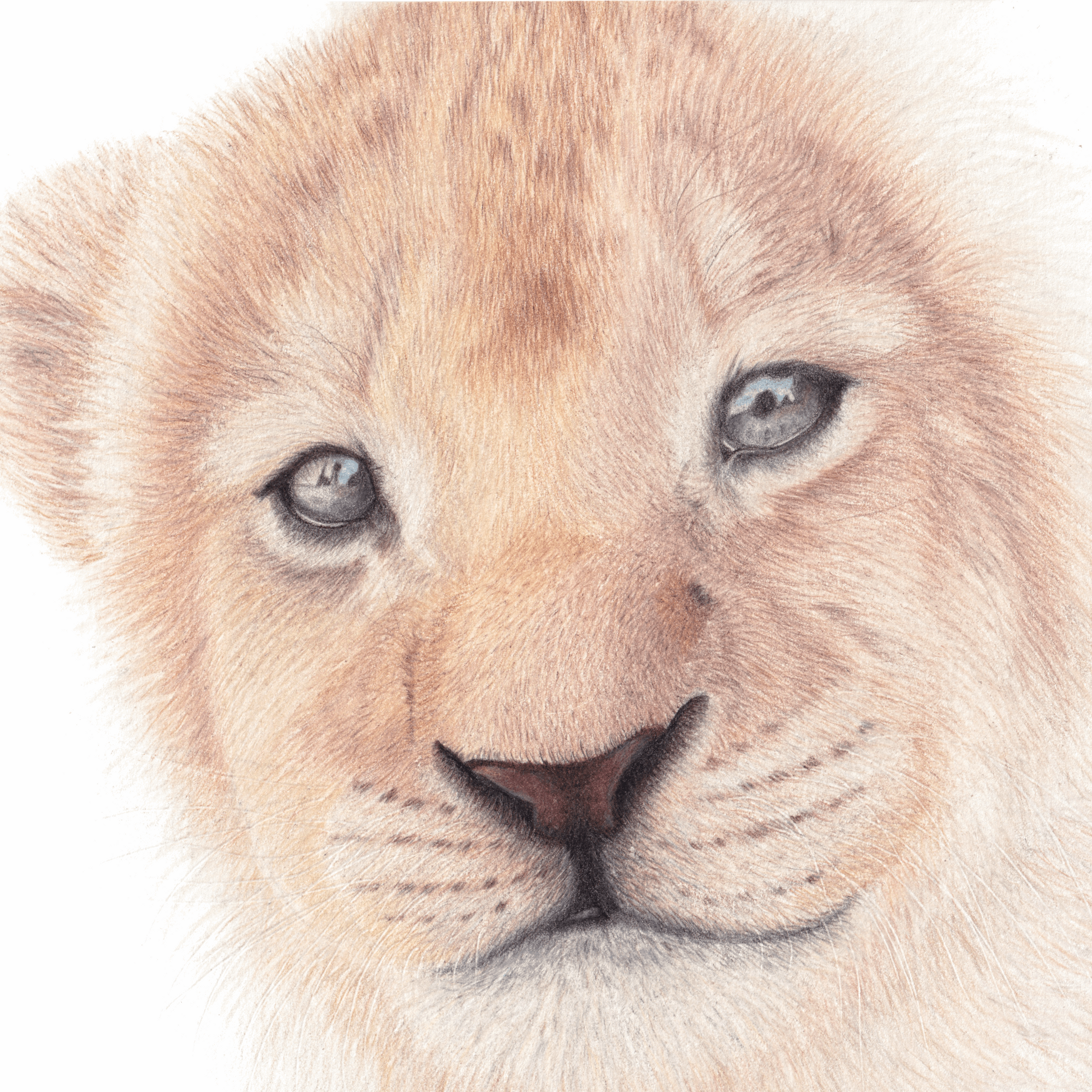 Lion Cub Original Art