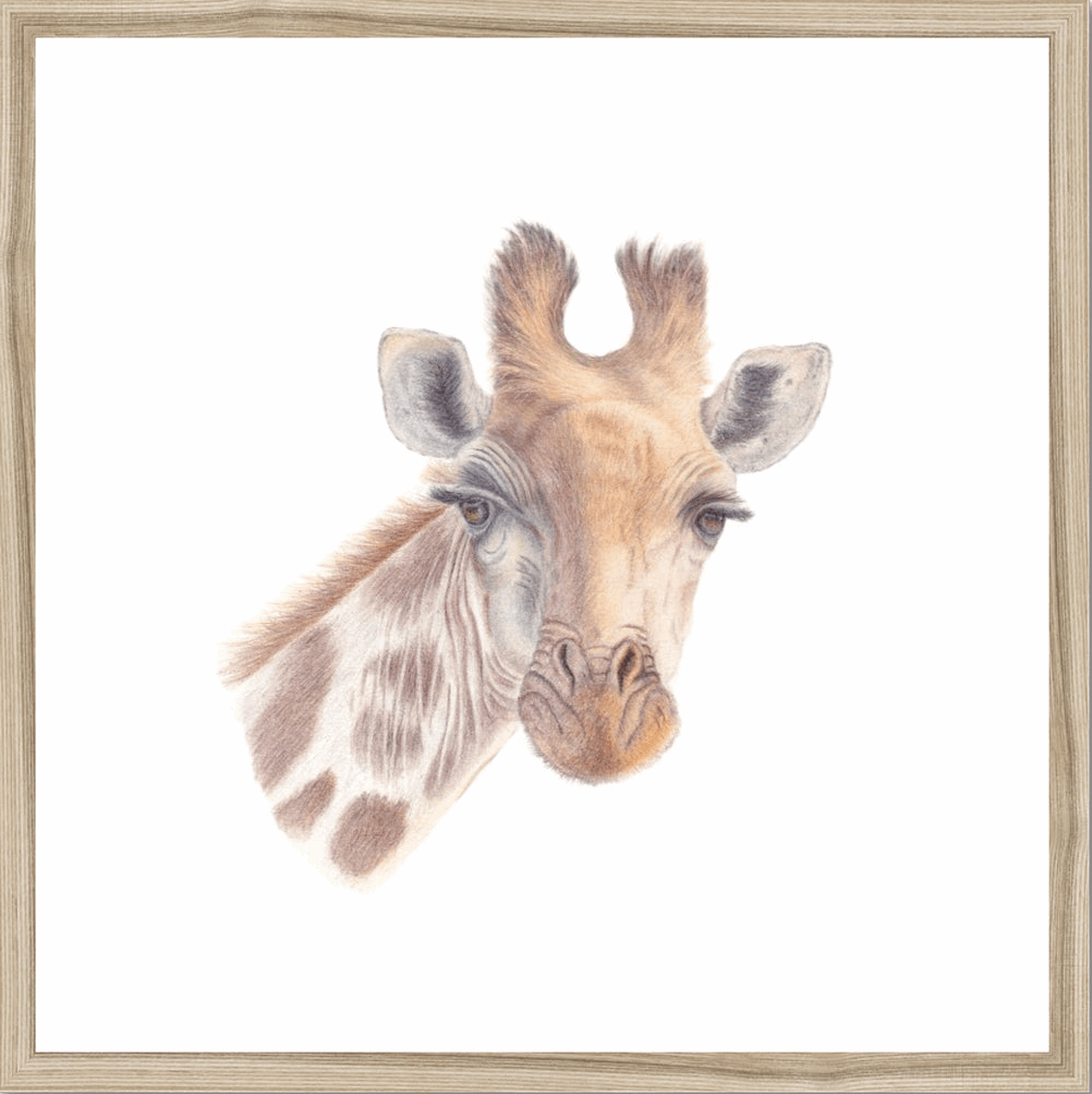 Giraffe Original Art - Nikki Fraser Art